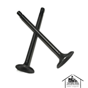 big-boy-velocity-150-engine-valves