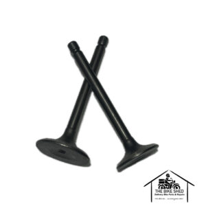 yamaha-ybr-engine-valves